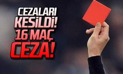 Cezaları kesildi! 16 maç ceza