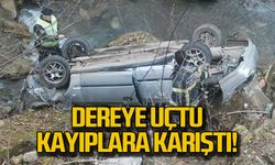 Dereye uçtu... Sürücü kayıplara karıştı