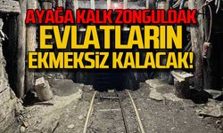 Ayağa kalk Zonguldak... Evlatların ekmeksiz kalacak!"