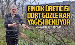 Fındık üreticisi dört gözle kar yağışı bekliyor