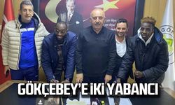 Gökçebey'e iki yabancı!