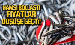 Hamsi bollaştı... Fiyatlar düşüşe geçti!