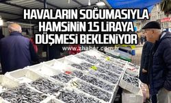 Havaların soğumasıyla hamsinin 15 liraya düşmesi bekleniyor