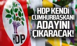 HDP kendi cumhurbaşkanı adayını çıkaracak!