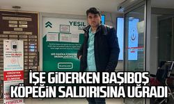 Sokak köpeği ısırdı, kuzduz aşısı olmak için 100 kilometre yol gitti