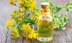 Kantaron Yağının Faydaları Nelerdir ?