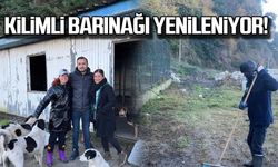 Kilimli barınağı yenileniyor!