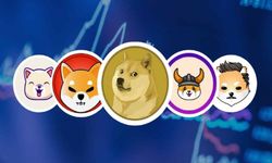 Meme Token Nedir, Ne İşe Yarar?