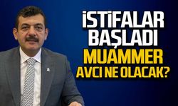 Ak Parti'de istifalar başladı... Muammer Avcı ne olacak?