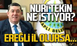 Ereğli il olursa... "Alaplı Belediye Başkanı ne istiyor"