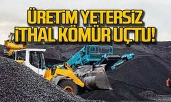 Üretim yetersiz... İthal kömür uçtu!