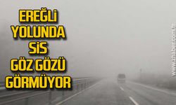 Ereğli yolunda sis göz gözü görmüyor.