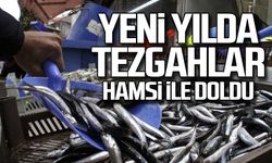 Yeni yılda tezgahlar hamsi ile doldu