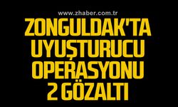 Zonguldak'ta uyuşturucu operasyonu: 2 gözaltı