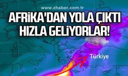 Afrika'dan yola çıktı hızla geliyorlar!