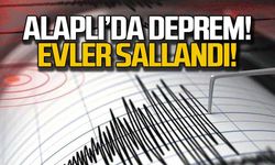 Alaplı'da deprem! Evler sallandı!