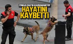 Zonguldak'ın kahramanıydı... Şila hayatını kaybetti