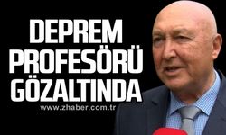 Prof. Dr. Övgün Ahmet Ercan neden gözaltına alındı?