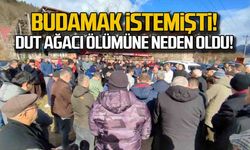 Ağacı budamak istemişti... Faik Yılmaz hayatını kaybetti