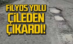 Filyos yolu çileden çıkardı!