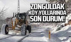 Zonguldak'ta köy yollarında son durum!