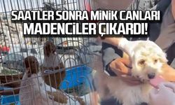 Madenciler küçük canları saatler sonra kurtarmayı başardı!