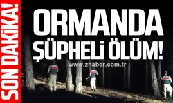 Doğan Aygör ormanlık alanda ölü bulundu