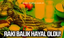 Rakı balık hayal oldu!
