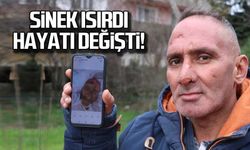 Sinek ısırdı... Hayatı değişti!