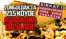 Zonguldak'ta 215 köyde karantina başladı!