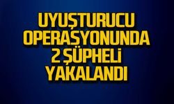 Uyuşturucu operasyonunda 2 şüpheli yakalandı