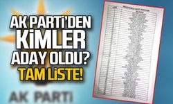Ak Parti'den kimler aday oldu?
