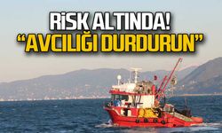 Karadeniz risk altında! "Avcılığı durdurun"