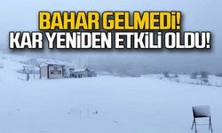 Karabük'te kar yağışı yeniden etkili oldu!