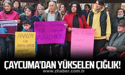 Çaycuma’dan yükselen çığlık!