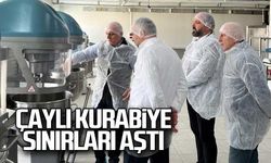 Demir "Çaylı Kurabiye sınırları aştı"