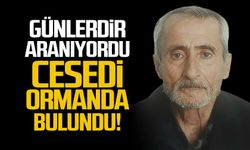 Günlerdir aranıyordu... Ormanda cesedi bulundu