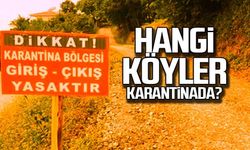 Hangi köyler karantinada?