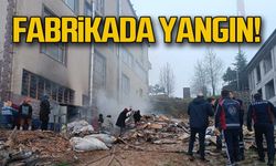 Alaplı'da fabrikada yangın çıktı!