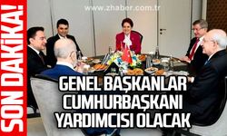 Genel başkanlar Cumhurbaşkanı yardımcısı olacak