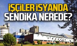 İşçiler isyanda... Sendika nerede?