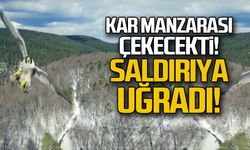 Kar manzarası çekecekti... Saldırıya uğradı!