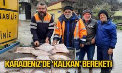 Karadeniz’de ‘kalkan’ bereketi!