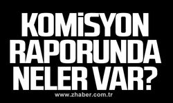 Komisyon raporunda neler var?