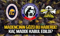 Madencinin gözü bu haberde... Kaç madde kabul edildi?