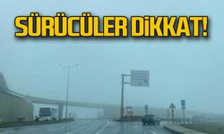 Zonguldak'ta sis etkili oldu
