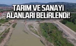 Hangi alanlar tarım arazisi hangi alanlar sanayi arazisi olacak?