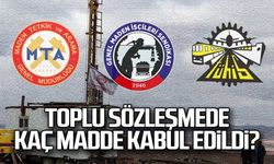 MTA GMİS ve TÜHİS toplu sözleşmelerinde kaç madde kabul edildi?