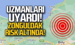 Uzmanları uyardı! Zonguldak risk altında!