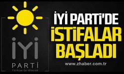 Sertan Kuzu, Meclis Üyeliğinden istifa etti